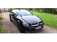 MERCEDES-BENZ CLS 250 2014/11 - 5