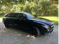 MERCEDES-BENZ CLS 250 2014/11 - 5