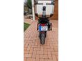 TRIUMPH TIGER 2024/3 - 2