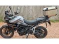 TRIUMPH TIGER 2024/3 - 3