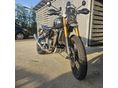 TRIUMPH SCRAMBLER 2020/10 - 2