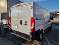 FIAT DUCATO 2026 - 4