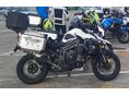 TRIUMPH TIGER 1200 Explorer XCX