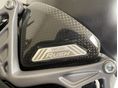 MV AGUSTA RUSH 2024 - 2