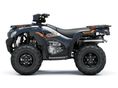 KAWASAKI BRUTE FORCE 750 2025 - 2