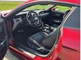 FORD MUSTANG 2019/12 - 11