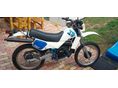 SUZUKI TS 50 