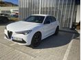 ALFA ROMEO STELVIO 2022/12 - 7
