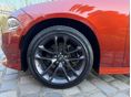 DODGE CHARGER 2020/6 - 20
