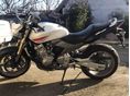 HONDA CB 600 F (HORNET) 2006/4 - 9