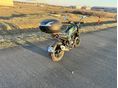 BENELLI LEONCINO 125 2022/10 - 3