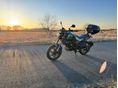 BENELLI LEONCINO 125 2022/10 - 5