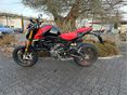 DUCATI MONSTER 2024/2 - 2