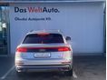 AUDI Q8 2019/2 - 6
