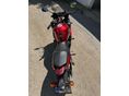 YAMAHA XJ 6 S 2009 - 4