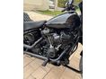 HARLEY-DAVIDSON LOW RIDER ST 2023/3 - 7