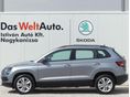 SKODA KAROQ 2021/1 - 3