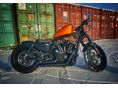 HARLEY-DAVIDSON SPORTSTER 2015/7 - 7