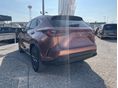 LEXUS NX 2026/1 - 4