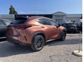 LEXUS NX 2026/1 - 2