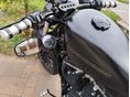 HARLEY-DAVIDSON SPORTSTER 883 IRON 2010/7 - 2