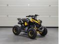 HIGHPER RENEGADE 2025/6 - 4