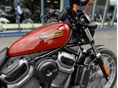 HARLEY-DAVIDSON NIGHTSTER 2024/2 - 10