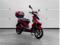 Z-TECH ZT-27 WARRIOR 2025/6 - 2