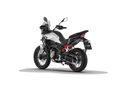 MORBIDELLI T352X 2026 - 7