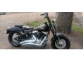 HARLEY-DAVIDSON FLST CROSS BONES FLSTSB