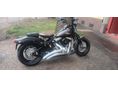 HARLEY-DAVIDSON FLST CROSS BONES 2008/1 - 5