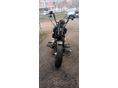 HARLEY-DAVIDSON FLST CROSS BONES 2008/1 - 6