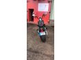 HARLEY-DAVIDSON FLST CROSS BONES 2008/1 - 7