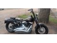 HARLEY-DAVIDSON FLST CROSS BONES 2008/1 - 8