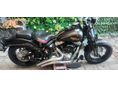 HARLEY-DAVIDSON FLST CROSS BONES 2008/1 - 10