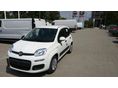 FIAT PANDA 2026 - 1