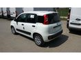 FIAT PANDA 2026 - 3