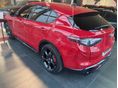 ALFA ROMEO STELVIO 2026 - 5