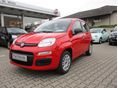FIAT PANDA 2026 - 1