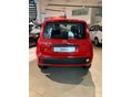 FIAT PANDA 2026 - 4
