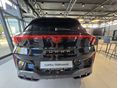 CUPRA TERRAMAR 2025 - 2