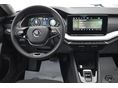 SKODA OCTAVIA 2024/12 - 6