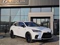 LEXUS RX 2026/1 - 1
