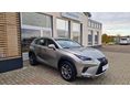 LEXUS NX 2019/5 - 3