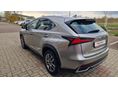LEXUS NX 2019/5 - 5