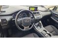 LEXUS NX 2019/5 - 6