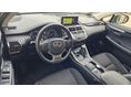 LEXUS NX 2019/5 - 7