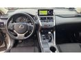 LEXUS NX 2019/5 - 8