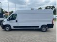 FIAT DUCATO 2026 - 2