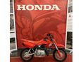 HONDA CRF 50 F 2025 - 1